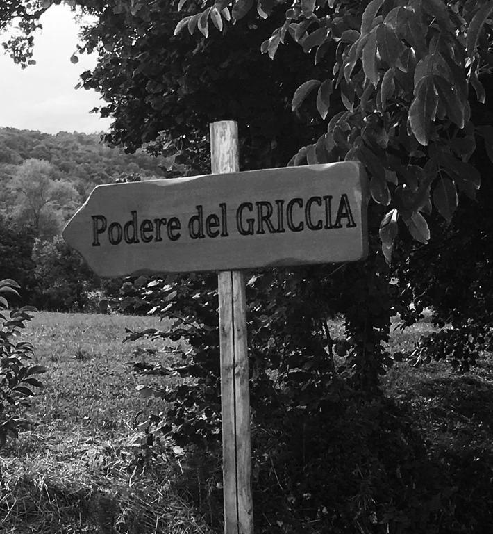 Podere Del Griccia Civitella in Val di Chiana Luaran gambar